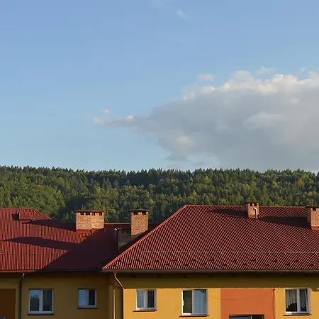Apartament Ustrzyki Ustrzyki Dolne Exterior photo